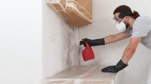 Professional Basement Mold Remediation technician working in Pompano Beach, FL