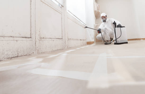 24/7 Emergency Basement Mold Remediation experts in Pompano Beach, FL